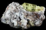 Apatite Crystal In Matrix - Durango, Mexico #43378-1